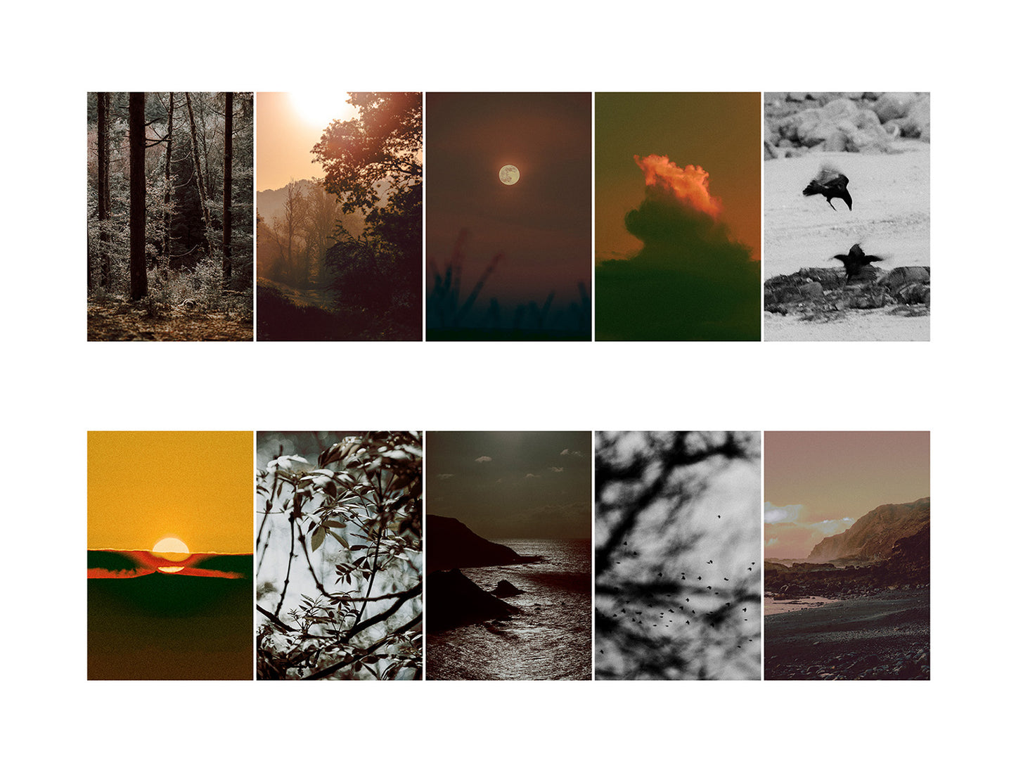 Volume 01 (10 pack) - Instant Stock Image Downloads